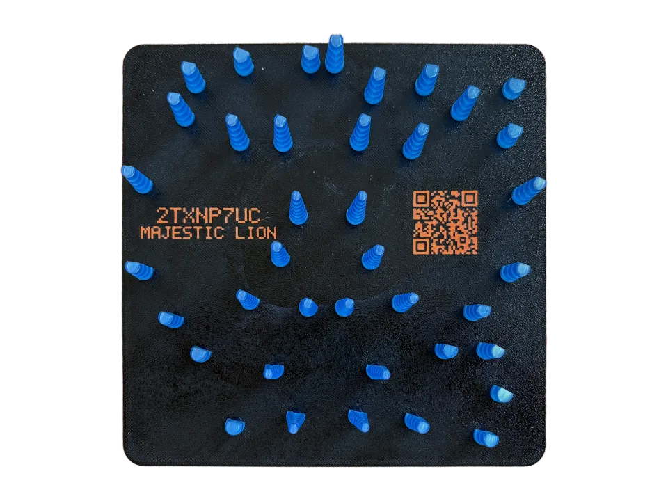 The backplate with its pegs wound in